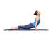 Beautiful sporty fit yogini woman practices yoga asana urdhva mukha svanasana - upward facing dog pose in studio isolated on white
