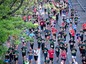 Hundreds of people running in a marathon