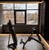 Hoist CF-3264 Adjustable Ab Bench