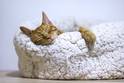quality sleep