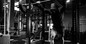 The Squat Rack Guide- How to Choose the Right One for Your Home Gym