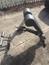 Hoist CF 3663 Back Hyper
