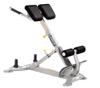 Hoist-CF 3663 Back Hyper-Adjustable-Ratcheting-Positions