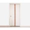 Stroops_SPINESTRAP_-Door-Anchor