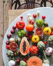 Fruits &amp; Veggies