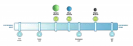 RAD-1018-Rounds-3-Ball-Set-Density-considerations